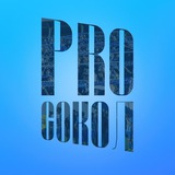 PROСокол⚽️