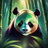 $AP Angry Panda on Sol