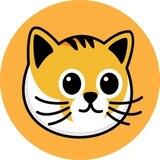 BSCCAT😻