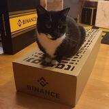 Binance Cat Poseidon