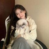 海口外围/海口上门/海口修车/海口学生