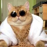 Big Meowney