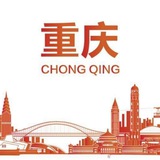 重庆个体大联盟（永不收费）