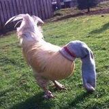 Cock In A Sock
