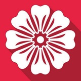 爆菊专业户丨肛交丨屁眼丨菊花