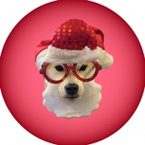 tunawifsantahat