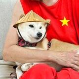 Chinese Neiro