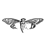 Cicada 3301 Portal
