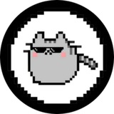 PumpCat CTO Portal