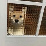 Dog behind glass Portal