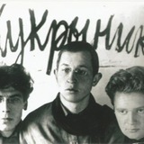 КУКРЫНИКСЫ 100