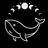 CoinCex Alerts 🚨