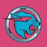MrBeast ( Portal )