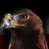 GlobalPatriotENGLISH 🗣️
