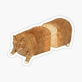 CAT BREAD PORTAL