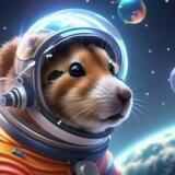 TON HAMSTER PPP