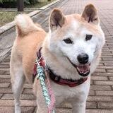 Rintaro | Neiro’s Twin Brother