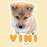 Vini the Shiba Portal