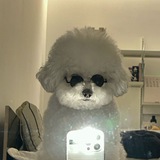 $HENRY