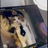 👩‍✈️ Pilot Cat | First meme by Neuralink