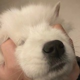 Sy集团 结帐通知频道