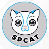 Phenomenal Cat Coin 🐈 $PCAT Global 🌎