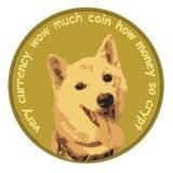 Dogecoin 2.0 - $DOGE2 - Neiro