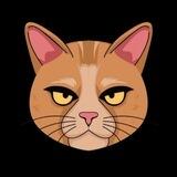 Elon’s Cat Schrödinger Portal