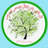 نهال گردو چندلر صنوبر بادام بلوبری