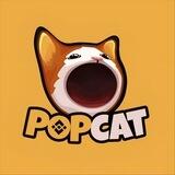 $POPCAT - BSC PORTAL