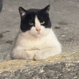 RalfPortal