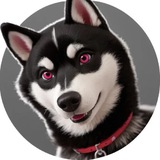 Koko-Chan $COCO | CTO
