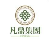大龙的崛起之路