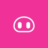 Pigmo News