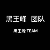 黑王蜂团队