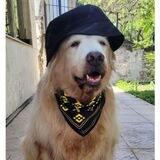 BINANCE DOG SWAG