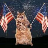 $AMERICAT Portal