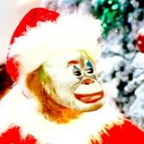 Доктор, я и есть Пальяччи🤡