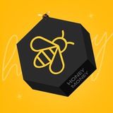 🐝 HoneyMoney | Процессинг для iGaming