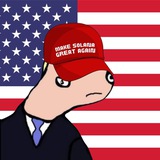 Make Solana Great Again