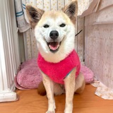 Ito-chan Portal