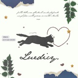 Luedicy's catalogue.