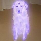 Illusion CTO Portal