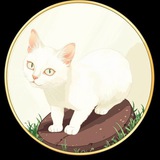 🐱CATTO🐱