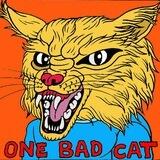 $BADCAT - ANDY’S HIGH ALTER EGO