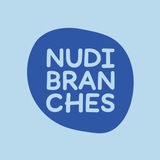 Nudibranches