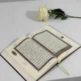حَصِيلَة