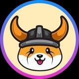 Floki on SOL