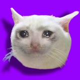 $CRYING CAT PORTAL