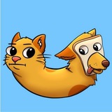 catdog 🐱🐶